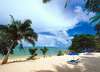 Black Parrot Suites Superior 